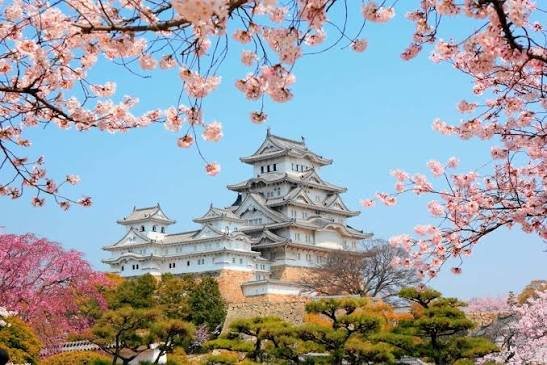 Classic Japan Journey: Fuji, Kyoto & Bullet Train